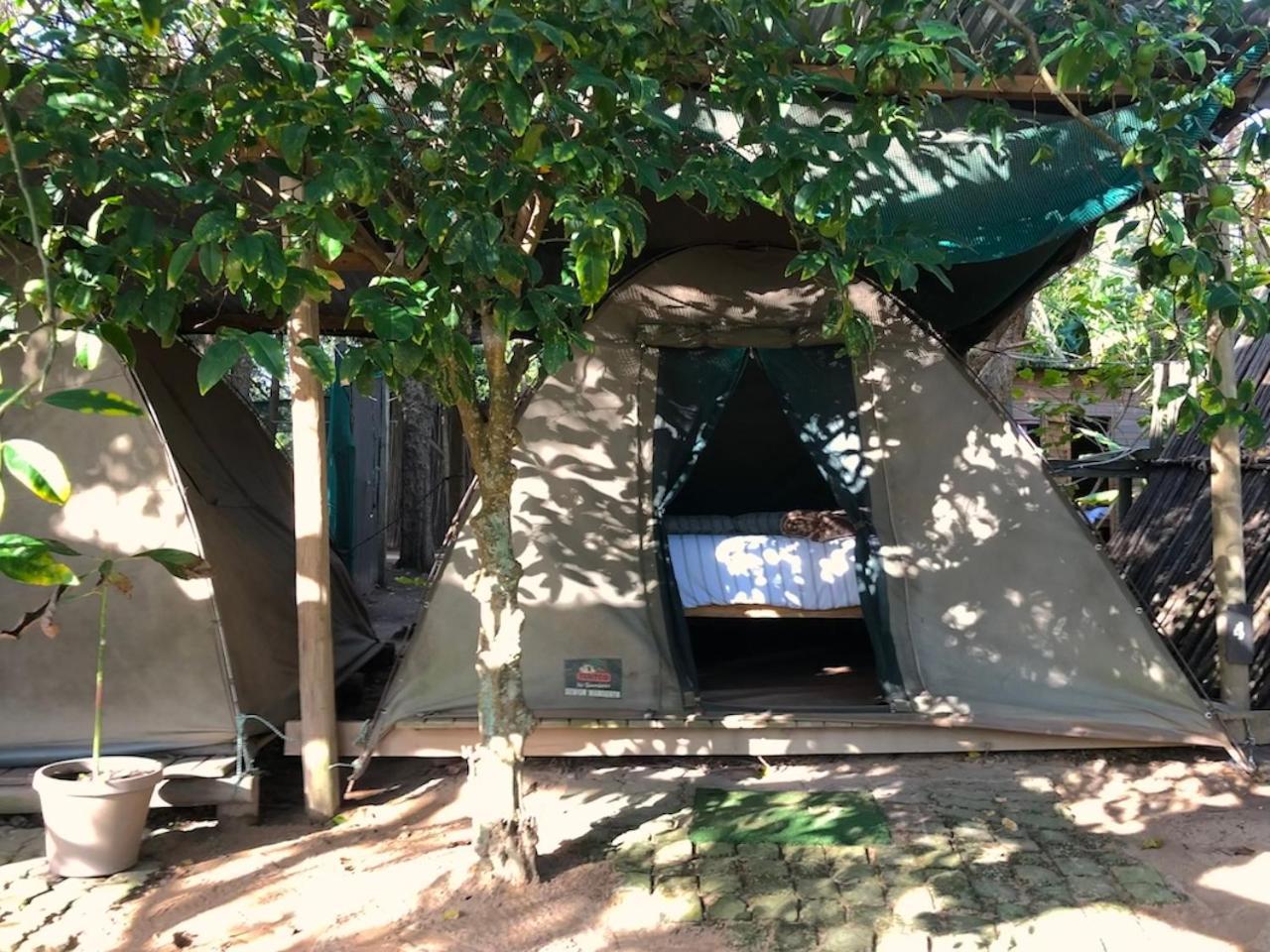 The Riverdeck Accommodation And Backpackers Книсна Екстер'єр фото