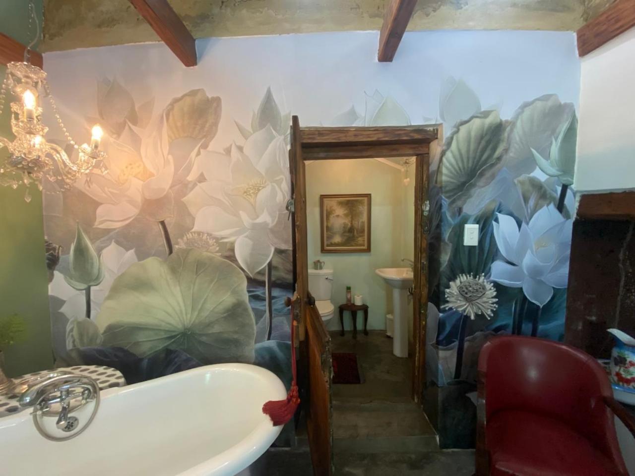 The Riverdeck Accommodation And Backpackers Книсна Екстер'єр фото
