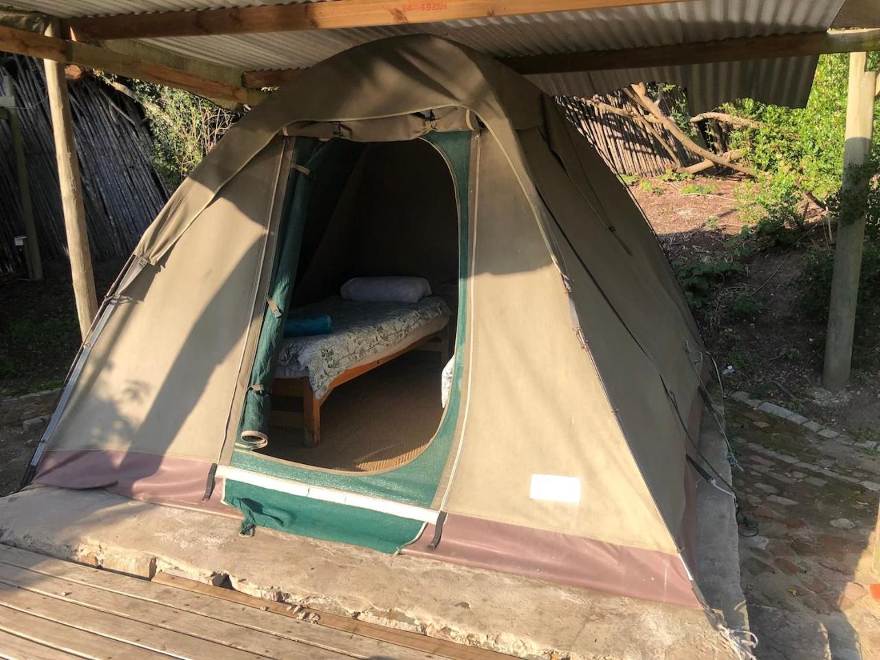 The Riverdeck Accommodation And Backpackers Книсна Номер фото
