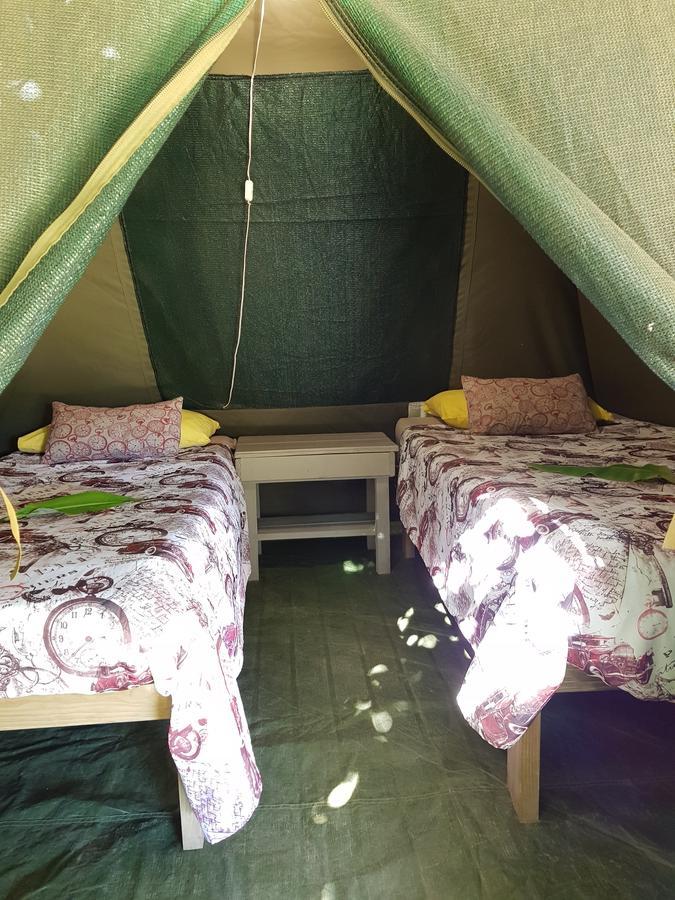 The Riverdeck Accommodation And Backpackers Книсна Екстер'єр фото