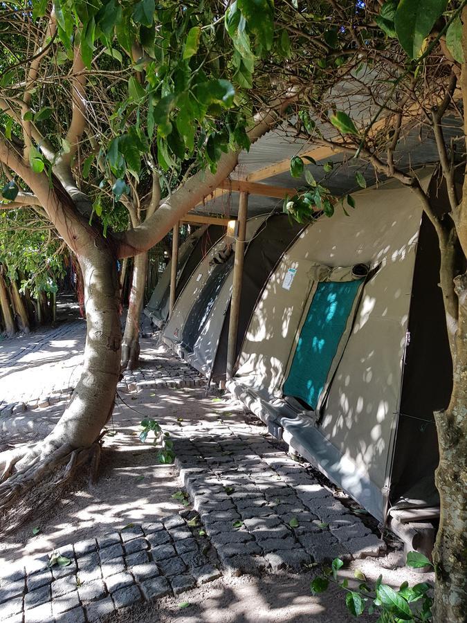 The Riverdeck Accommodation And Backpackers Книсна Екстер'єр фото